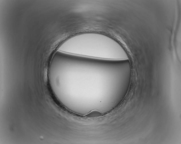 X0000111370019200907101026