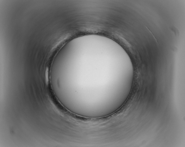 X0000111370020200907101026