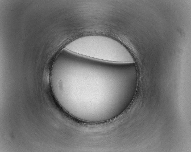 X0000111370021200907101026