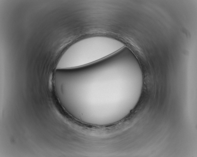 X0000111370024200907101026