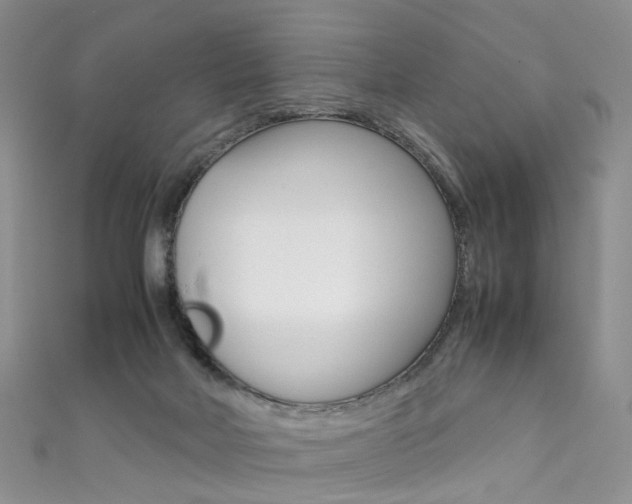 X0000111370026200907101026