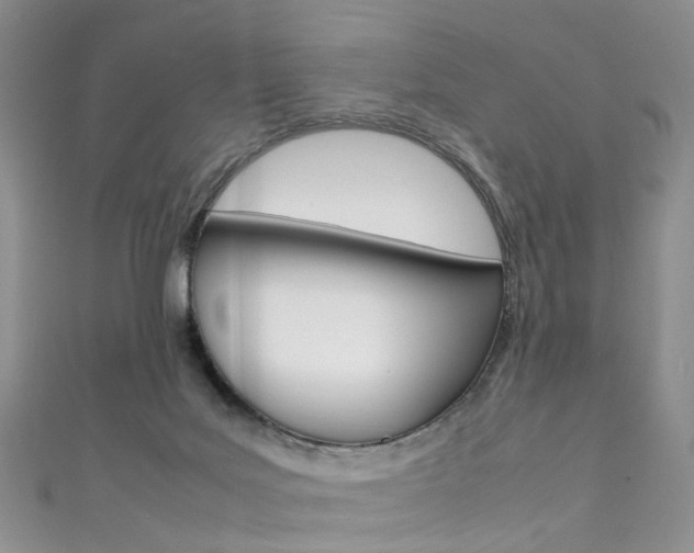 X0000111370027200907101026