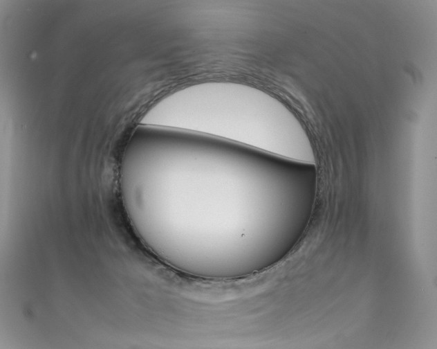 X0000111370029200907101026