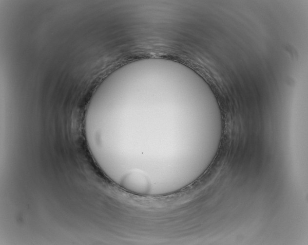 X0000111370030200907101026