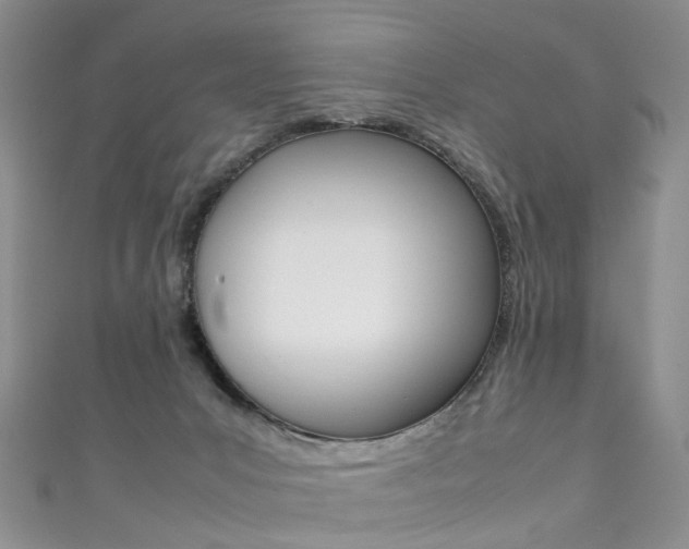 X0000111370031200907101026