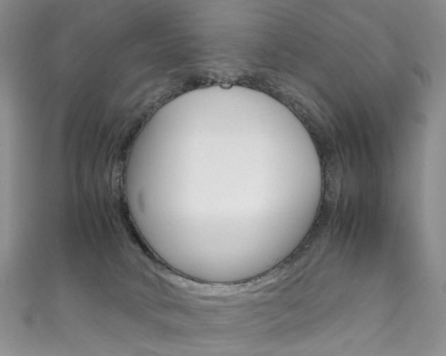 X0000111370034200907101026