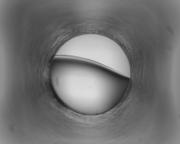 X0000111370035200907101026