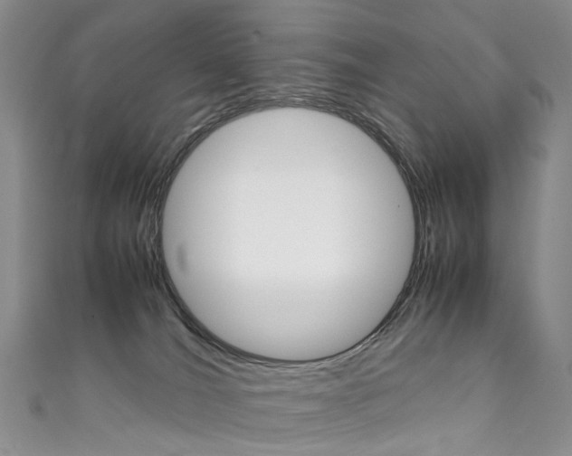 X0000111370036200907101026