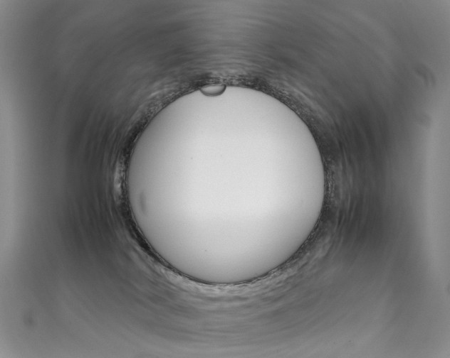 X0000111370038200907101026