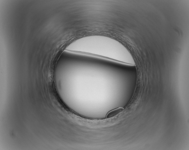 X0000111370039200907101026