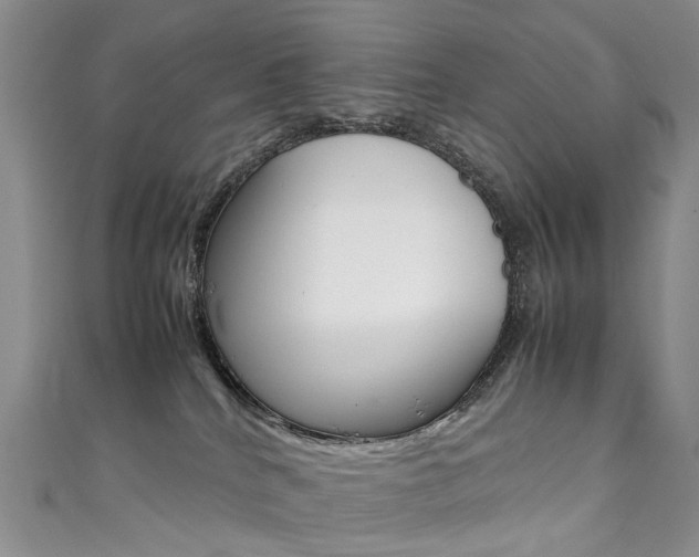 X0000111370040200907101026