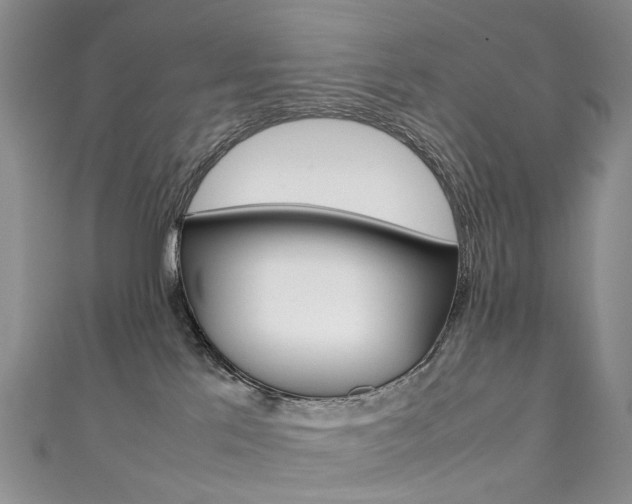 X0000111370041200907101026