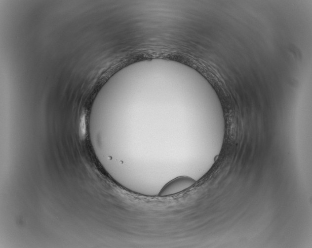 X0000111370042200907101026