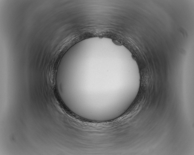 X0000111370044200907101026