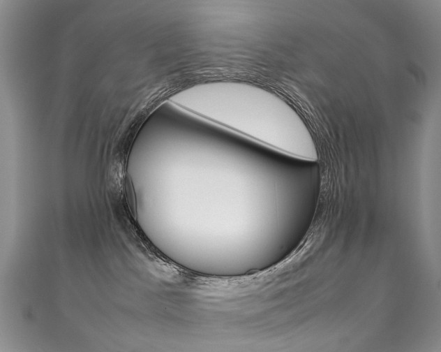 X0000111370045200907101026
