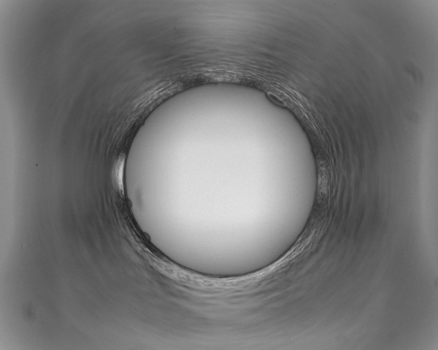X0000111370047200907101026