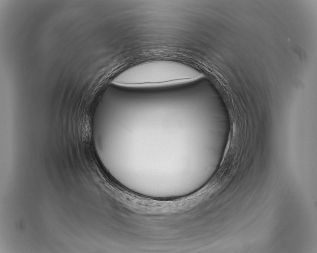 X0000111370048200907101026