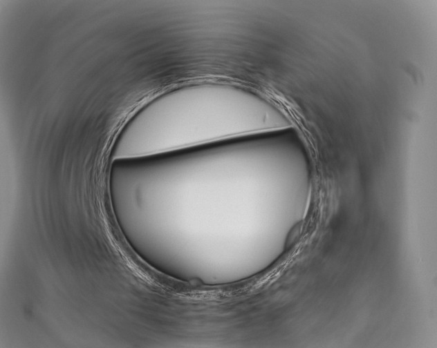 X0000111370049200907101025
