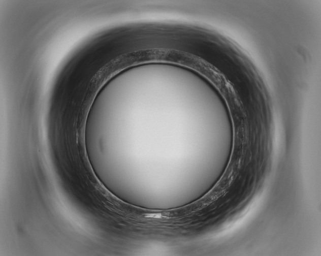 X0000111370050200907101025