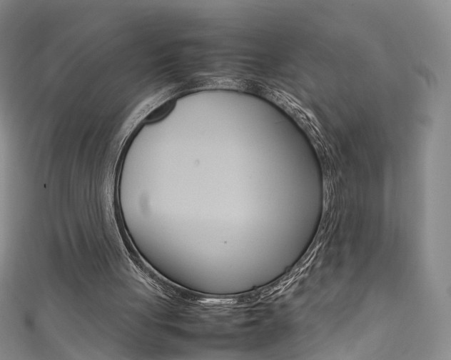 X0000111370051200907101025