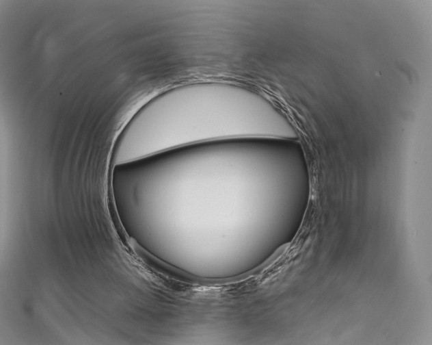 X0000111370052200907101025