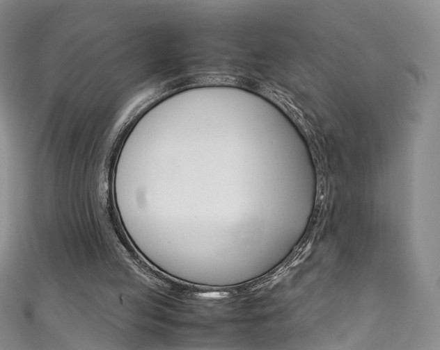 X0000111370053200907101025