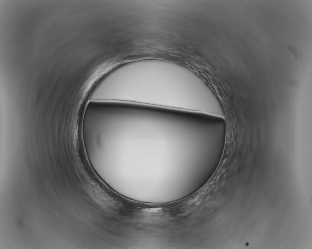 X0000111370054200907101025