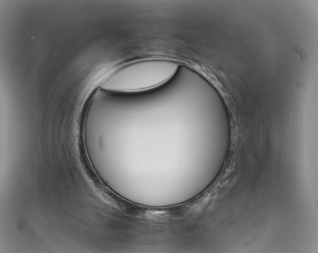 X0000111370055200907101025