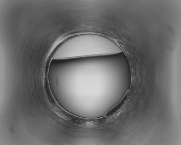 X0000111370056200907101025