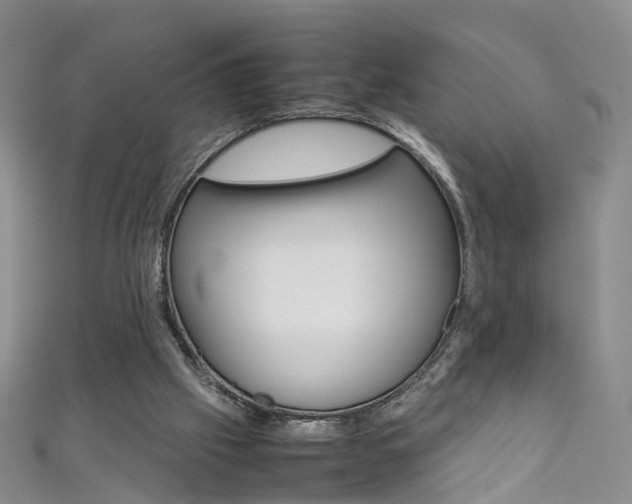 X0000111370057200907101025