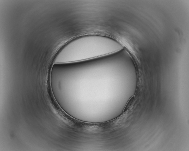 X0000111370058200907101025
