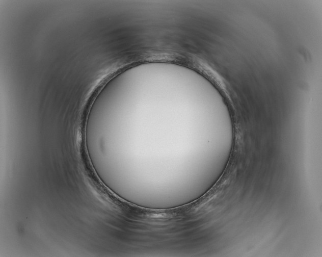 X0000111370059200907101025