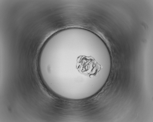 X0000111370060200907101025