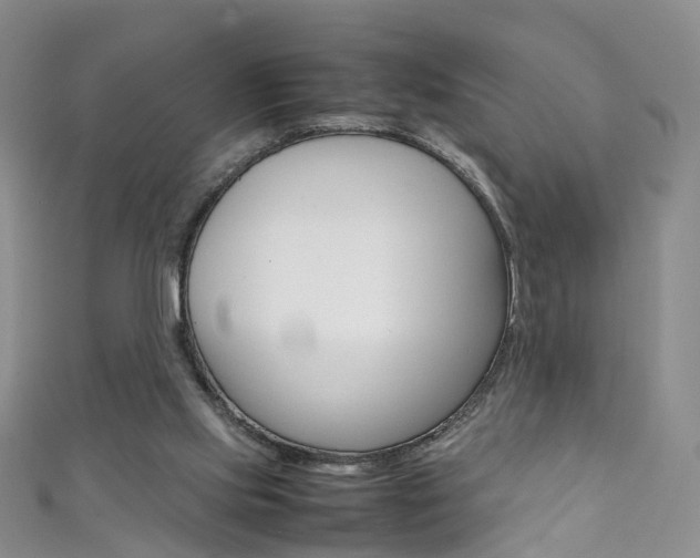 X0000111370061200907101025