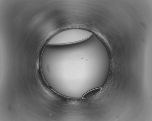 X0000111370062200907101025