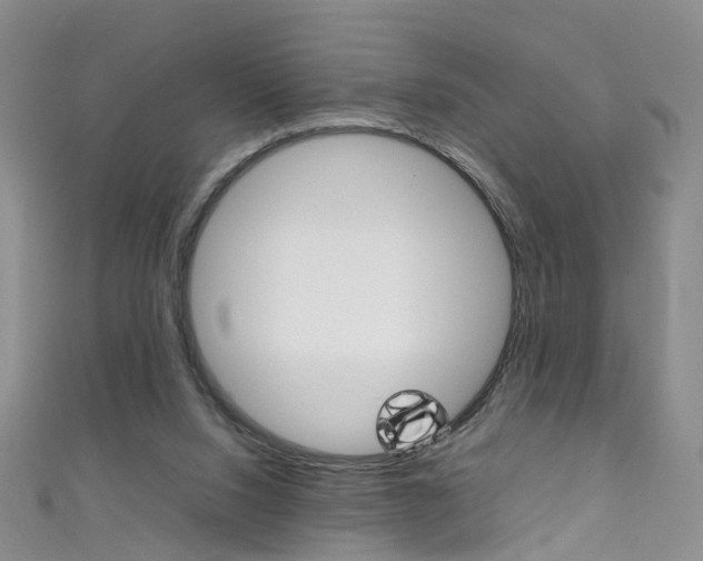 X0000111370064200907101025