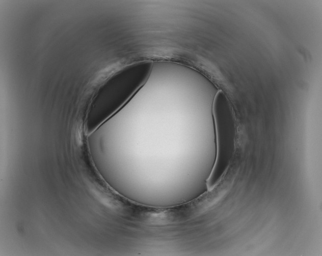X0000111370068200907101026