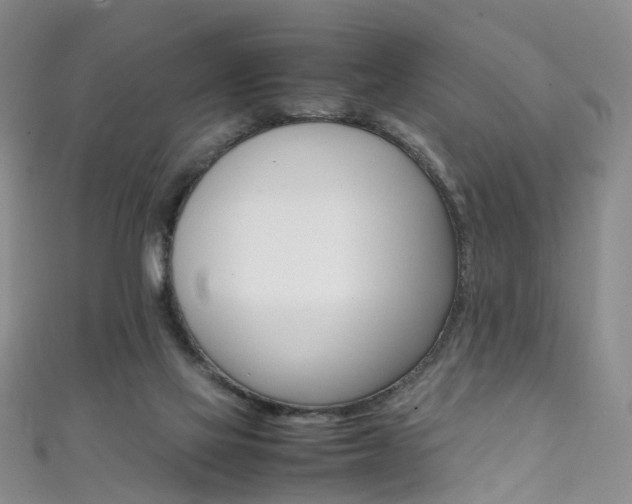 X0000111370069200907101026