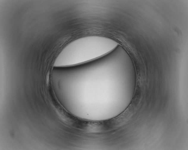 X0000111370070200907101026