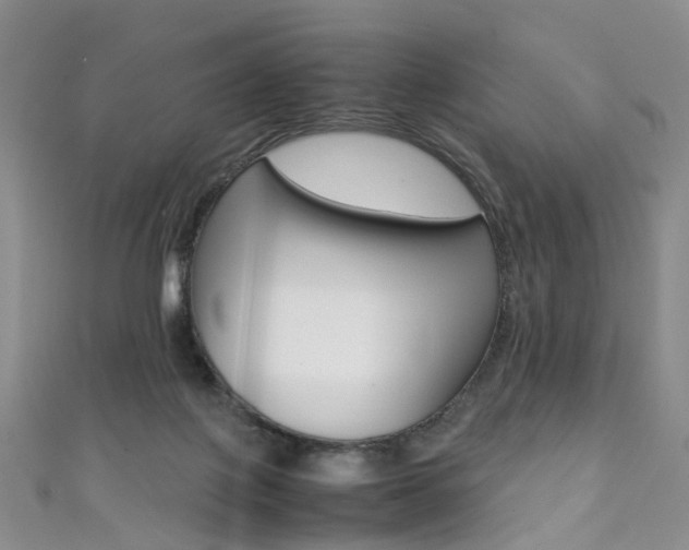 X0000111370075200907101026