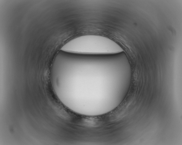 X0000111370079200907101026