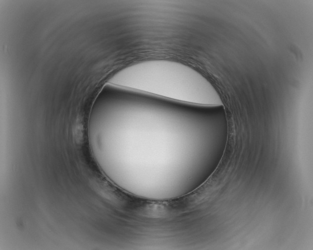 X0000111370080200907101026