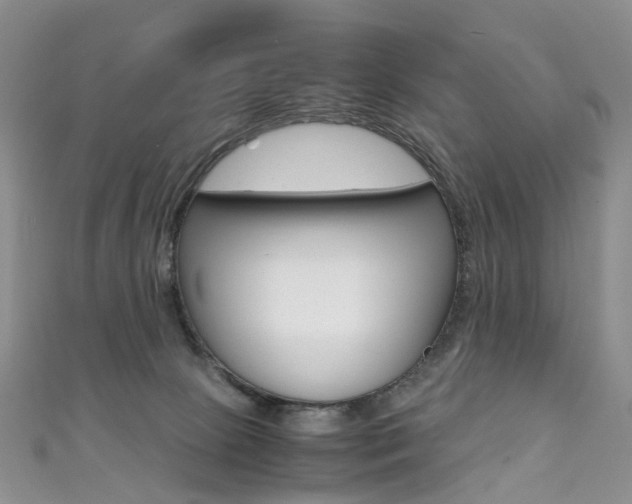 X0000111370081200907101026