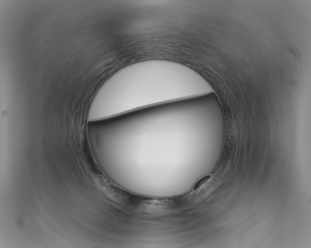 X0000111370082200907101026