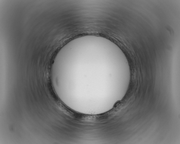 X0000111370084200907101026