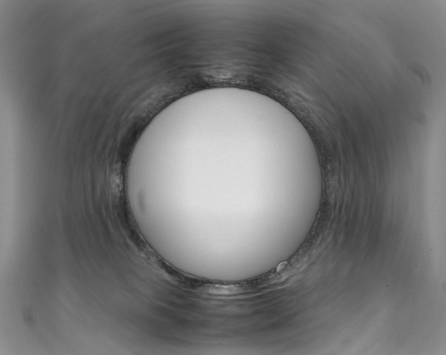 X0000111370085200907101026