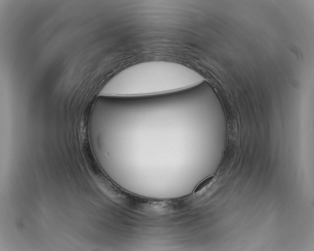 X0000111370086200907101026