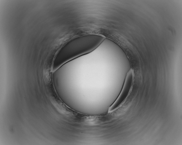 X0000111370088200907101026