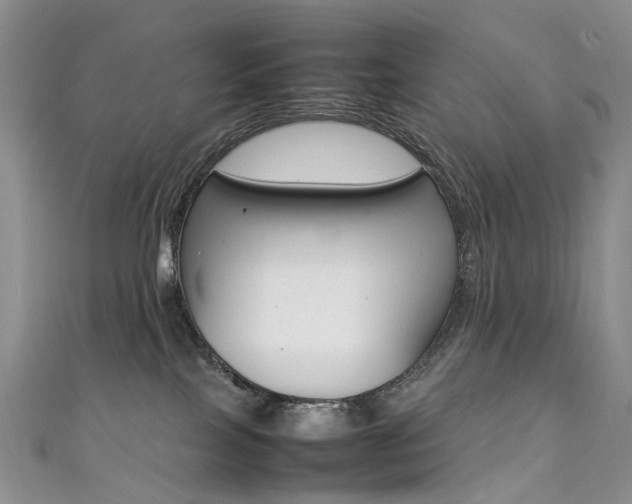X0000111370089200907101026