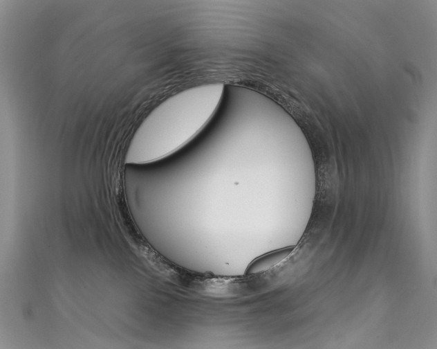 X0000111370090200907101026